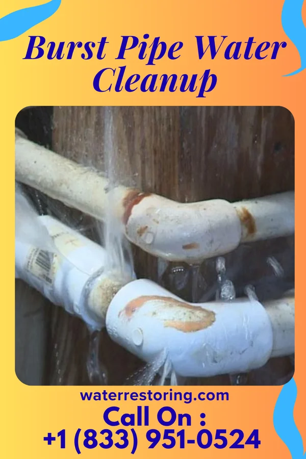 Burst Pipe Water Cleanup in Llano del Medio, NM