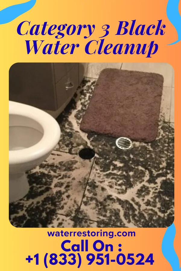 Category 3 Black Water Cleanup in Llano del Medio, NM