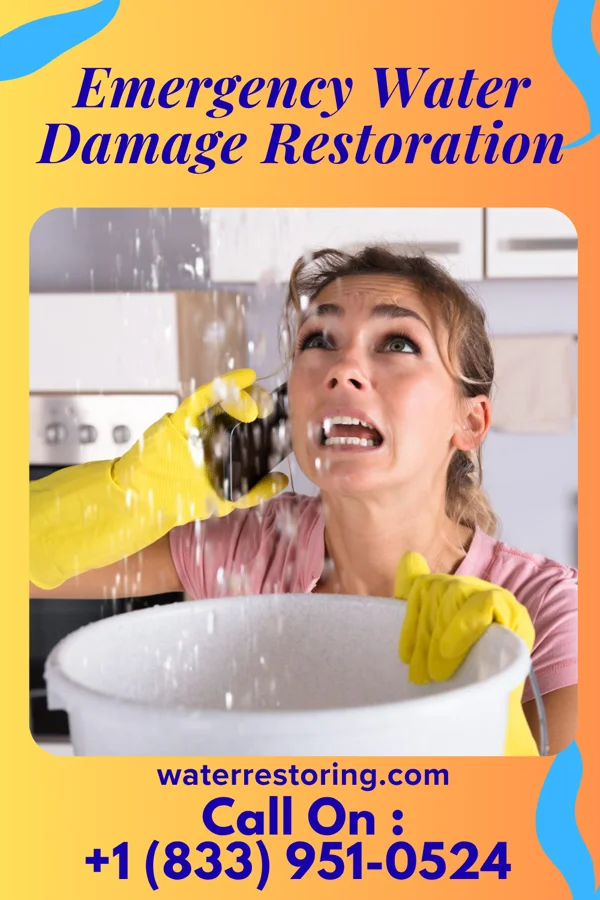 Emergency Water Damage Restoration in Llano del Medio, NM