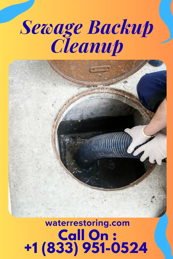Sewage Backup Cleanup in Llano del Medio, NM