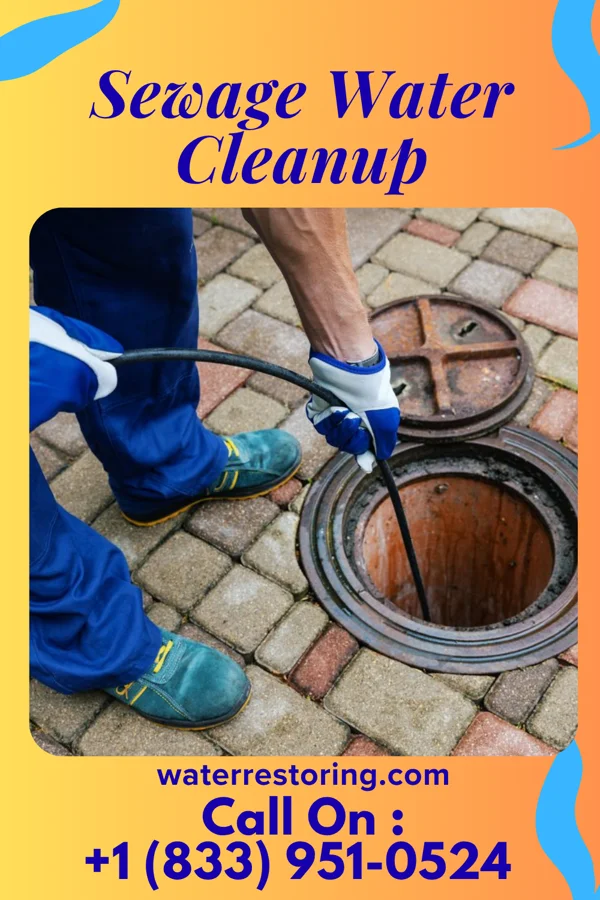 Sewage Water Cleanup in Llano del Medio, NM