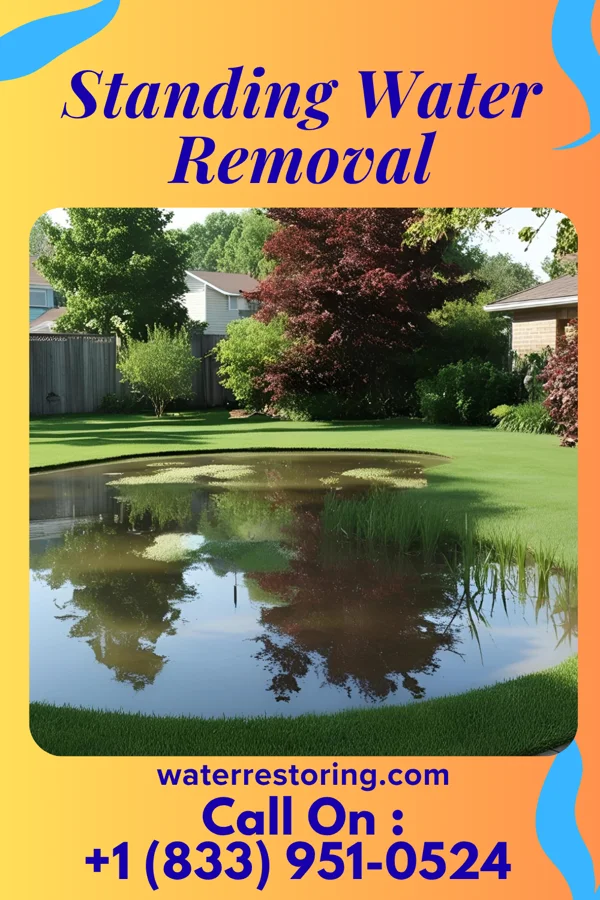 Standing Water Removal in Llano del Medio, NM